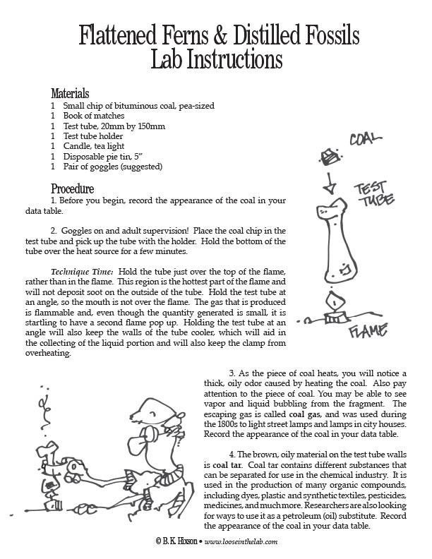 Picture Books That Teach- Bitamus Bottomus